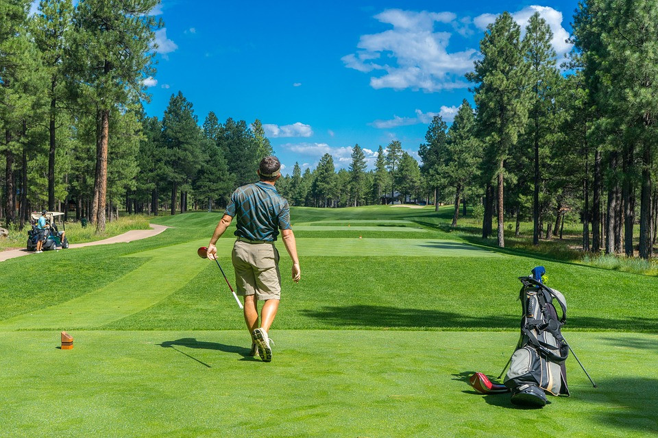 Golfer1960998 960 720