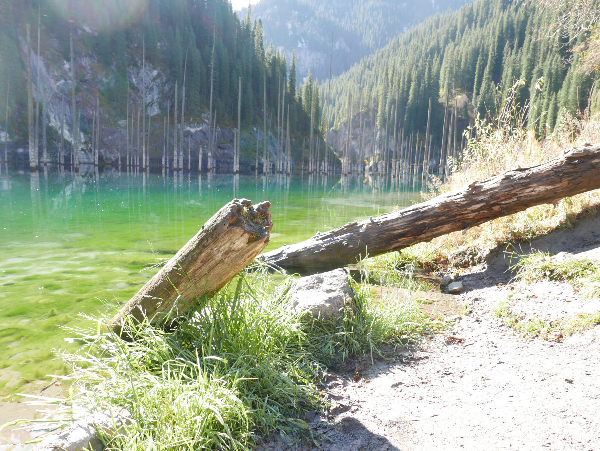 El lago Kaindy está situado entre montañas a una altitud de 2000 metros