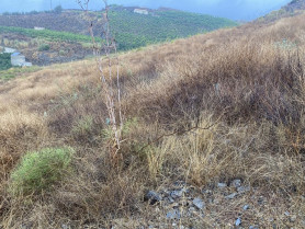 Turismo costa del sol reafirma su compromiso con la sostenibilidad en el 31 festival de cine frances de malaga a traves del proyecto huella zero