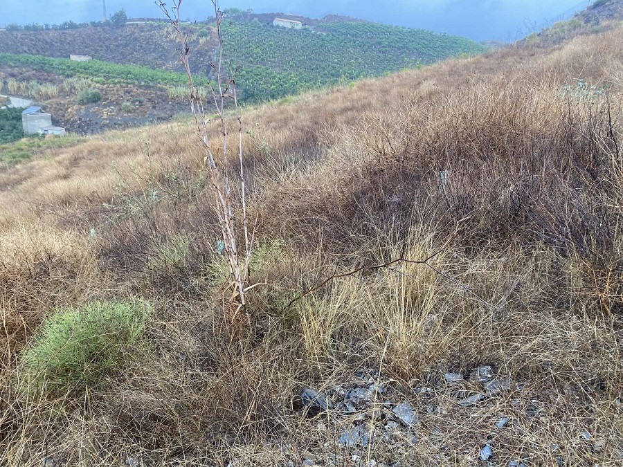 Turismo costa del sol reafirma su compromiso con la sostenibilidad en el 31 festival de cine frances de malaga a traves del proyecto huella zero