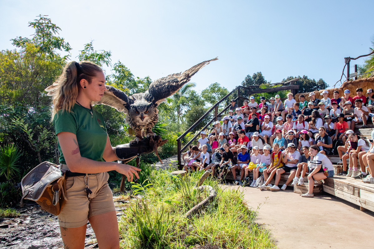 054 Selwo Colegio 2025
